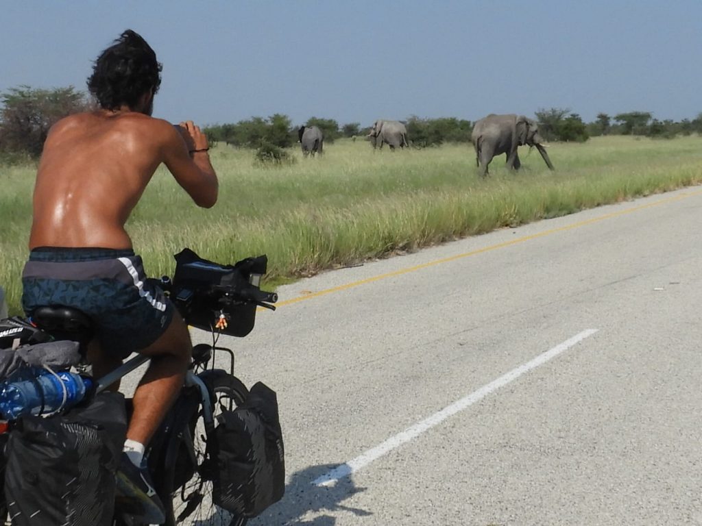 Sur la route avec les éléphants