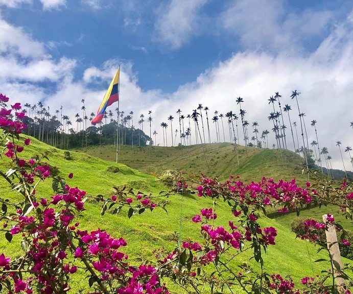 Les paysages aperçues lors d'un voyage en Colombie