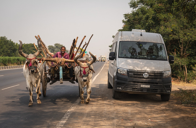 Voiture et charrettes tirées par des bœufs