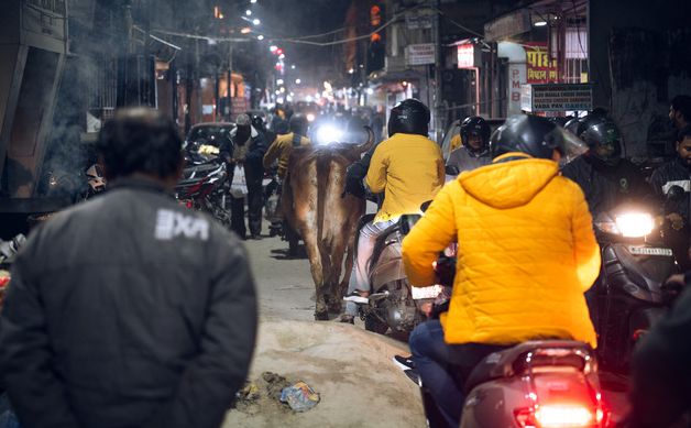 Chaous routier inde